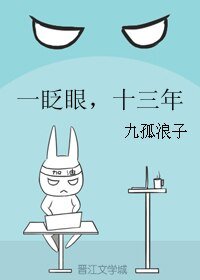 一眨眼,十三年