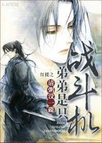 （红楼同人）红楼之弟弟是只战斗机